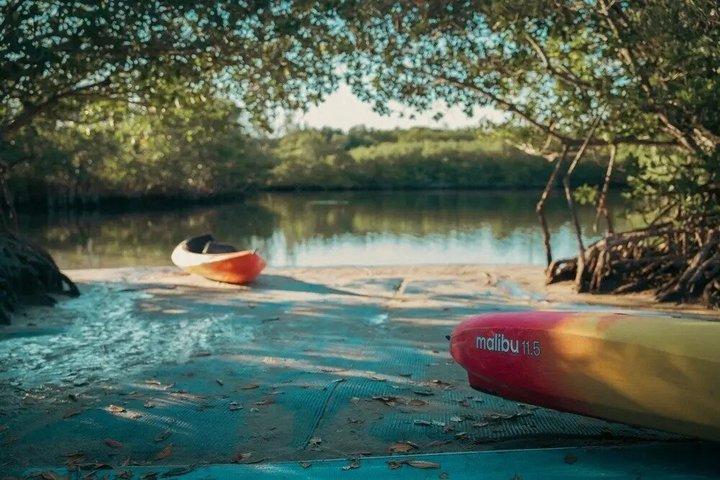 Oleta River State Park Tandem Kayak Rentals