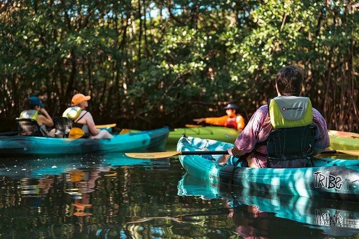 Oleta River State Park Single Kajakverhuur