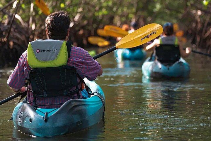 Oleta River State Park Single Kajakverhuur