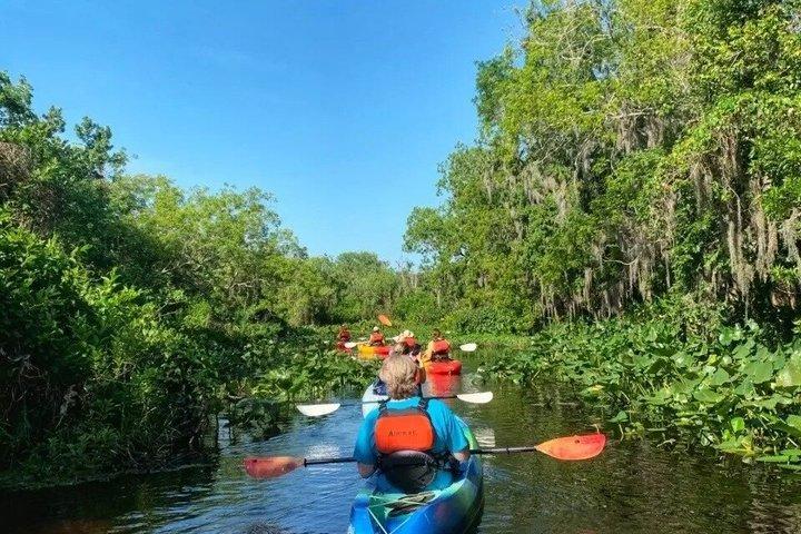 Visita guiada ao Blue Spring State Park