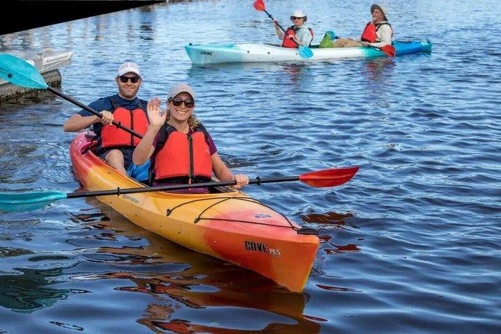 Visita guiada ao Blue Spring State Park