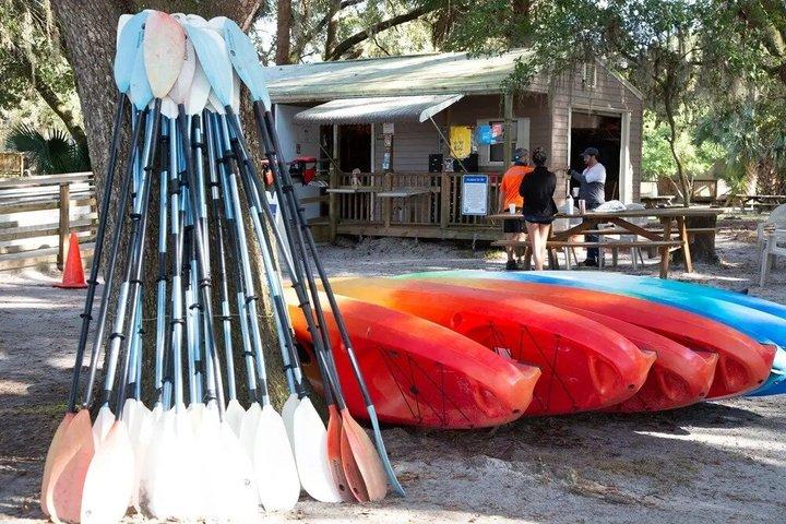 Visita guiada ao Blue Spring State Park