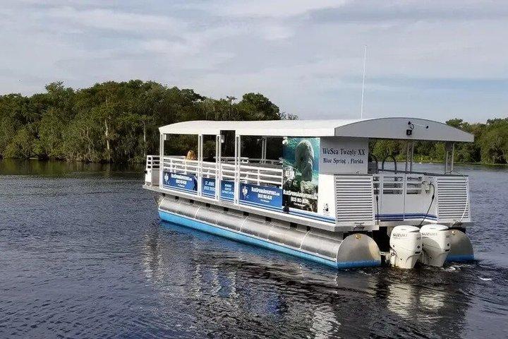 1 Hor St. Johns River Nature Cruise em Blue Spring State Park
