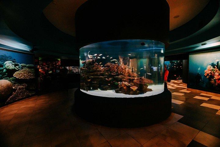 ロッベン島、ツーオーシャンズ水族館＆ケープホイールプライベートツアー