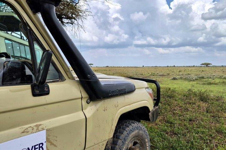 5 - Day Big Five Safari : タランギル、セレンゲティ、ンゴロンゴロ＆マニャラ
