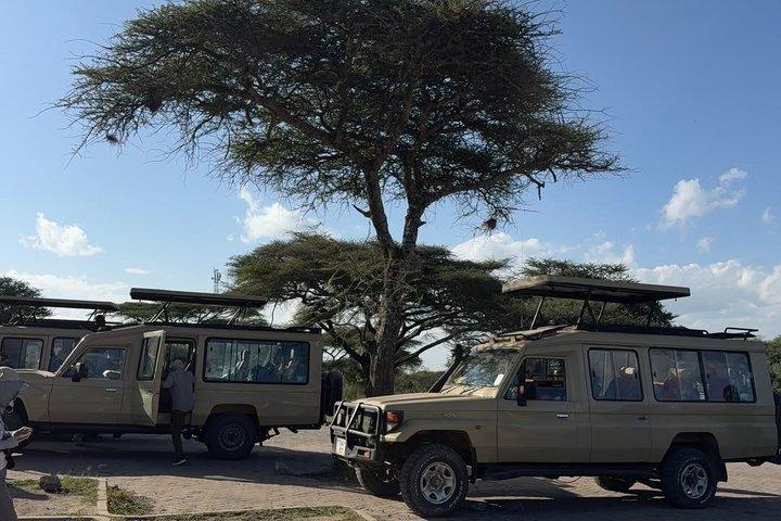 5 - Day Big Five Safari : タランギル、セレンゲティ、ンゴロンゴロ＆マニャラ