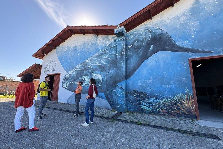 Visite guidée d'observation et d'histoire des baleines au départ de Florianopolis