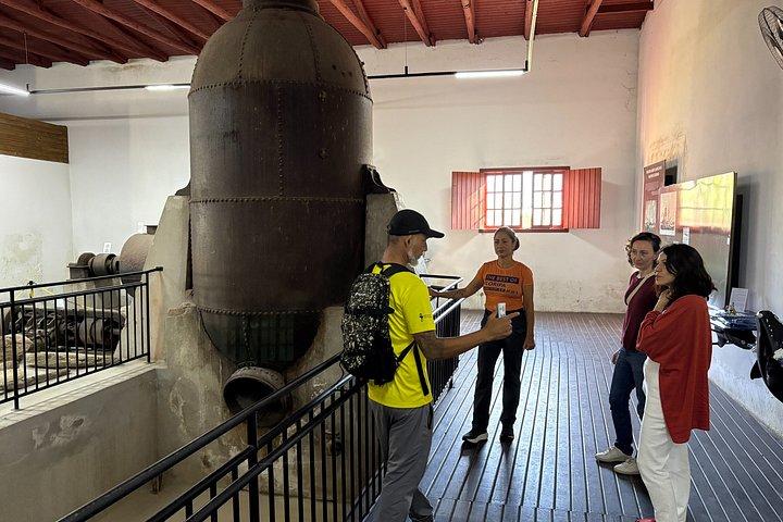 Visite guidée d'observation et d'histoire des baleines au départ de Florianopolis