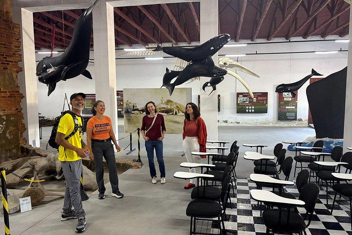 Visite guidée d'observation et d'histoire des baleines au départ de Florianopolis