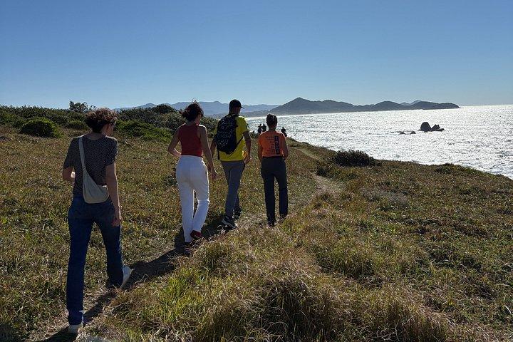 Visite guidée d'observation et d'histoire des baleines au départ de Florianopolis