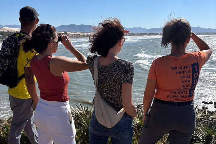 Visite guidée d'observation et d'histoire des baleines au départ de Florianopolis