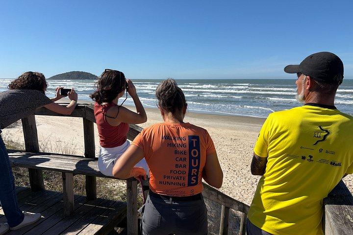 Visite guidée d'observation et d'histoire des baleines au départ de Florianopolis