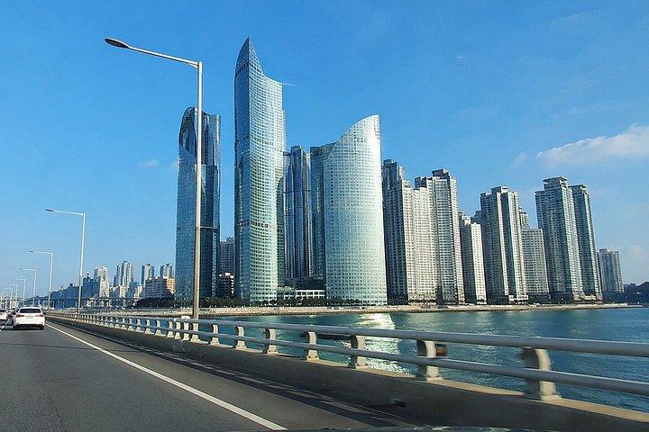 Customizable Private Busan Highlights Tour with a Local Guide