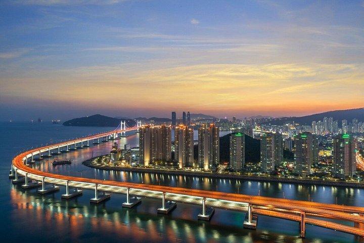 Customizable Private Busan Highlights Tour with a Local Guide
