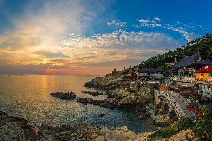 Customizable Private Busan Highlights Tour with a Local Guide