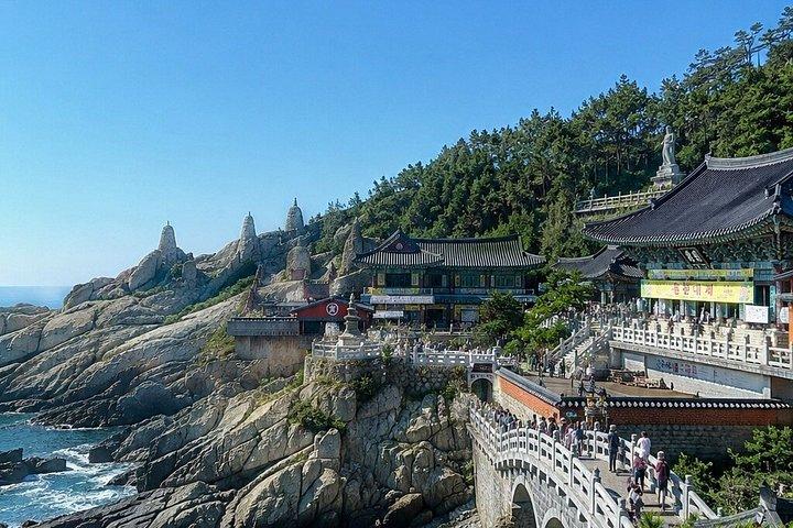Customizable Private Busan Highlights Tour with a Local Guide
