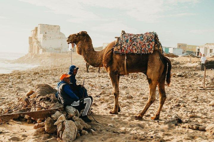 Essaouira: Quad Cap Sim discovering Sidi Kaouki