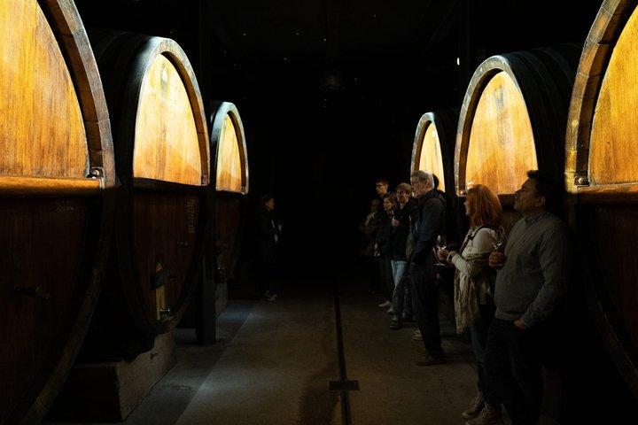 Immersive cellar tour-tasting-Christmas meal 100% immersive