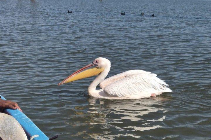 ナイバシャ湖＆ヘルズゲート国立公園日帰りツアー（ナイロビ発）