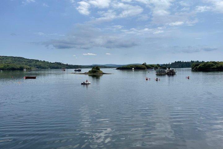 La péninsule de Beara - Excursion guidée privée d'une journée au départ de Liège