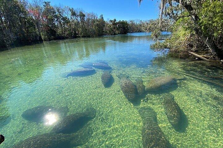 Crystal River State Park Tandem Kayak Rental