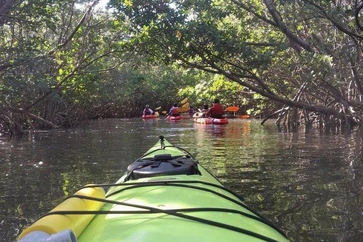 Dania Beach Single Kayak Rental