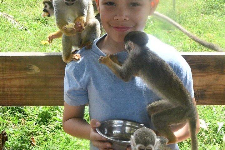 Puerto Plata; Monkeys Sanctuary, Butterfly home
