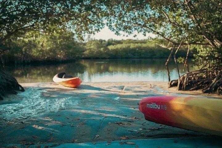 Dania Beach Tandem Kayak Rental