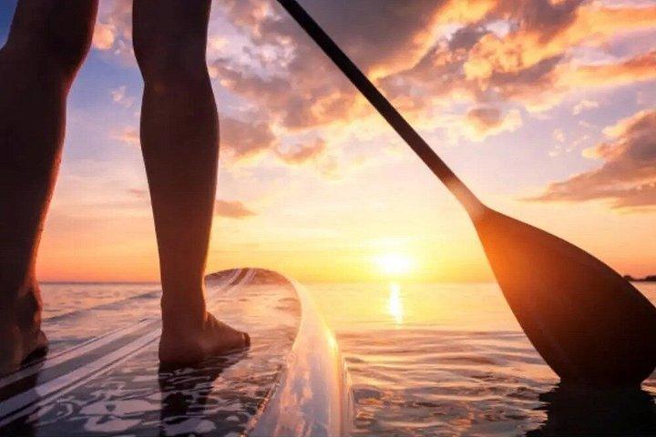 Dania Beach Stand-up Paddle Board Rental