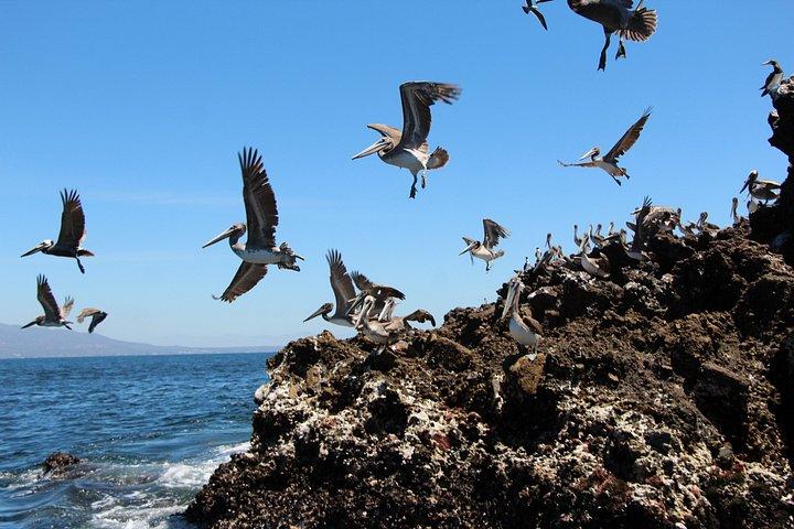 Marietas Islands Snorkelen & verborgen strandervaring