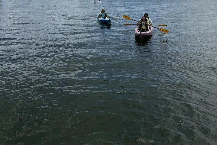 Dania Beach Guided Eco Kayak Tour