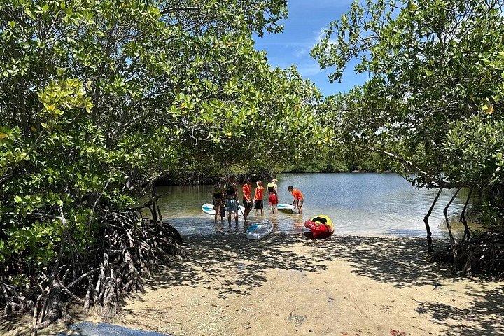 Dania Beach Guided Eco Kayak Tour