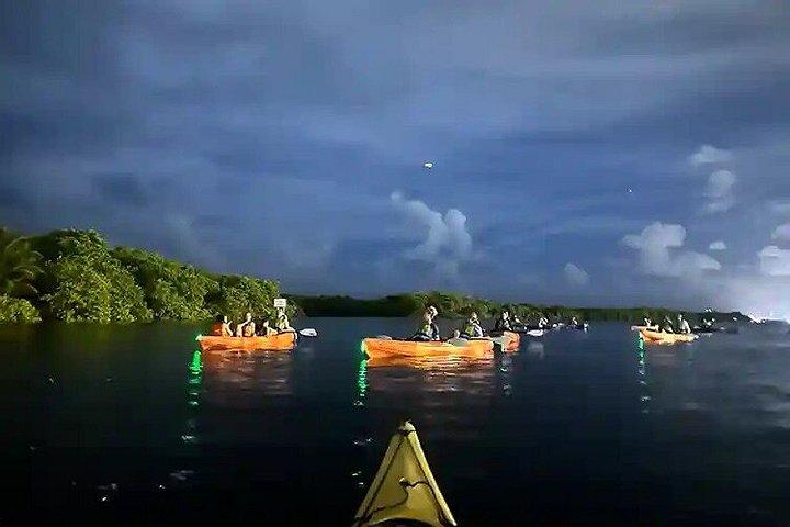 Dania Beach Full Moon Kayak Paddle Tour