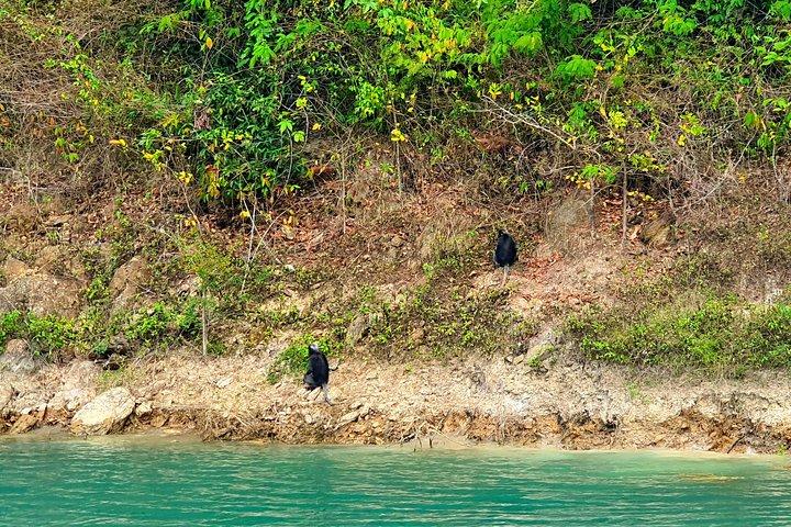 カオソック：オールインクルーシブ チェオラン湖、ダイヤモンド洞窟、ハイキング、カヤック