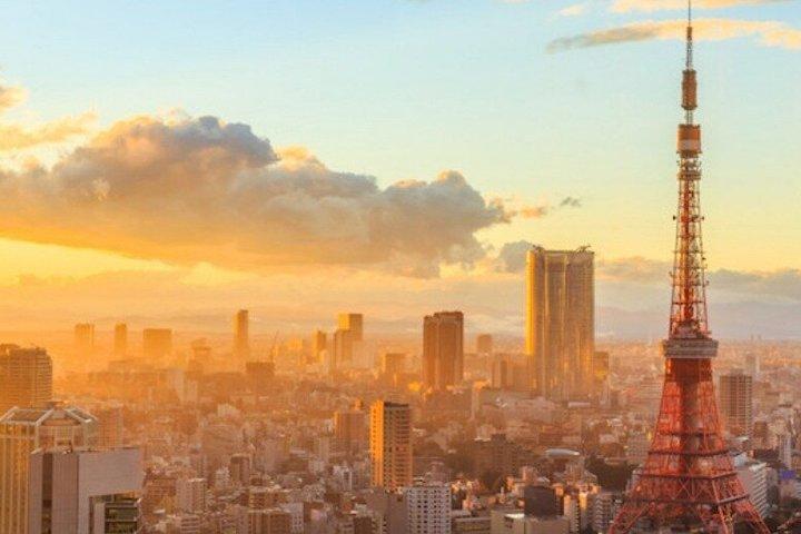 東京クルーズターミナルと成田空港間のプライベート送迎