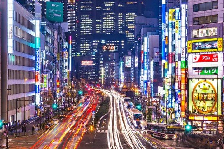 東京クルーズターミナルと成田空港間のプライベート送迎