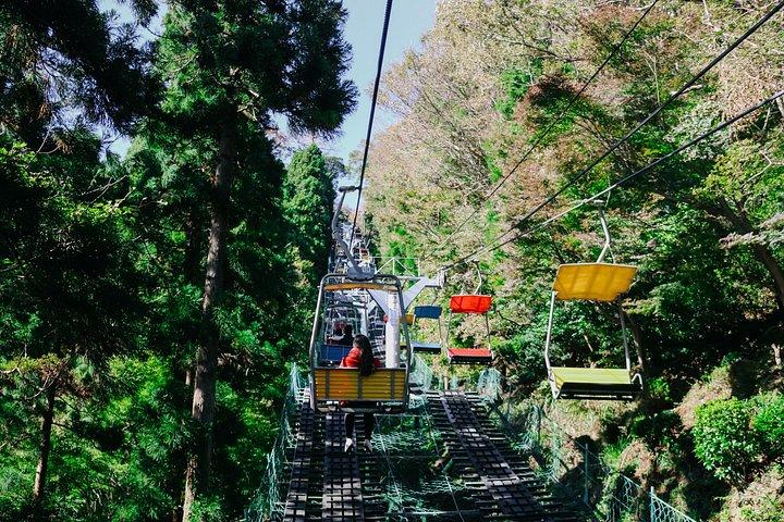 東京から行く高尾山と国営昭和記念公園紅葉日帰りツアー