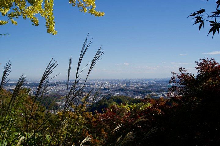 東京から行く高尾山と国営昭和記念公園紅葉日帰りツアー
