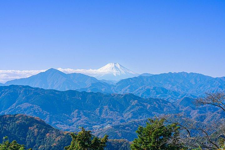 東京から行く高尾山と国営昭和記念公園紅葉日帰りツアー