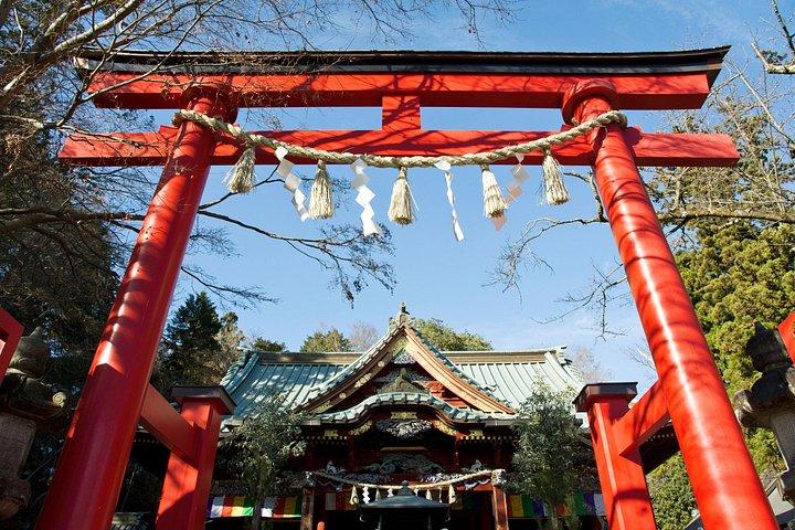 東京から行く高尾山と国営昭和記念公園紅葉日帰りツアー