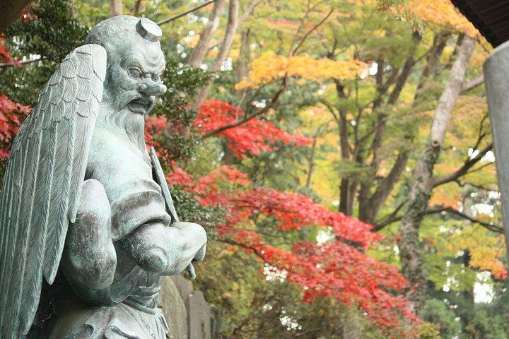 東京から行く高尾山と国営昭和記念公園紅葉日帰りツアー