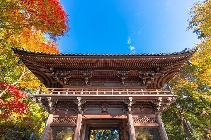 東京から行く高尾山と国営昭和記念公園紅葉日帰りツアー