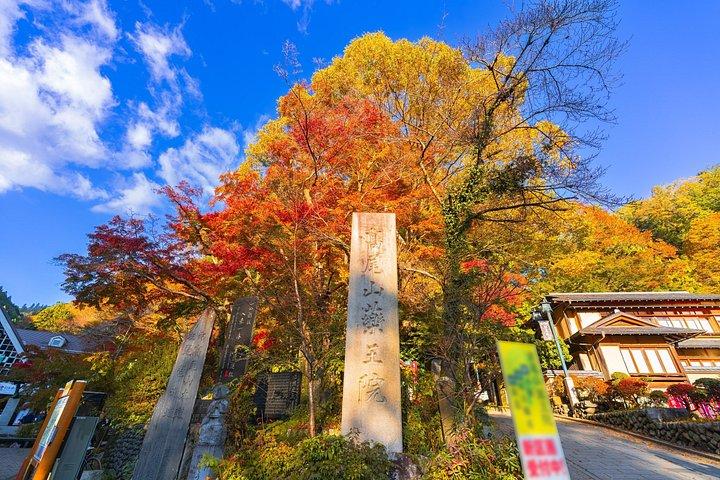 東京から行く高尾山と国営昭和記念公園紅葉日帰りツアー