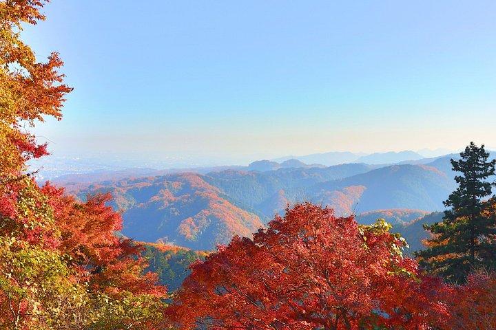 東京から行く高尾山と国営昭和記念公園紅葉日帰りツアー