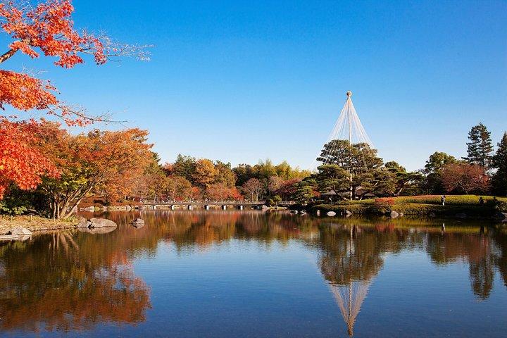 東京から行く高尾山と国営昭和記念公園紅葉日帰りツアー