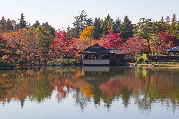 東京から行く高尾山と国営昭和記念公園紅葉日帰りツアー