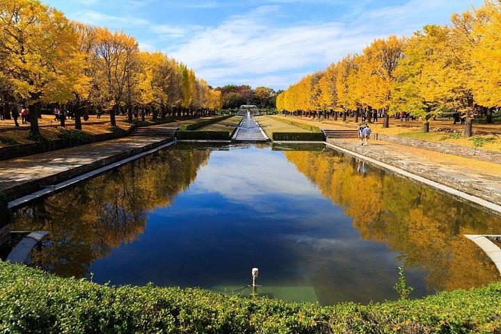 東京から行く高尾山と国営昭和記念公園紅葉日帰りツアー