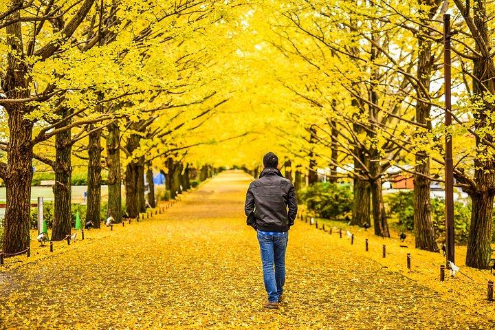 Hoteller i nærheden af Mount Takao and Showa Kinen Park Autumn Foliage Day Tour