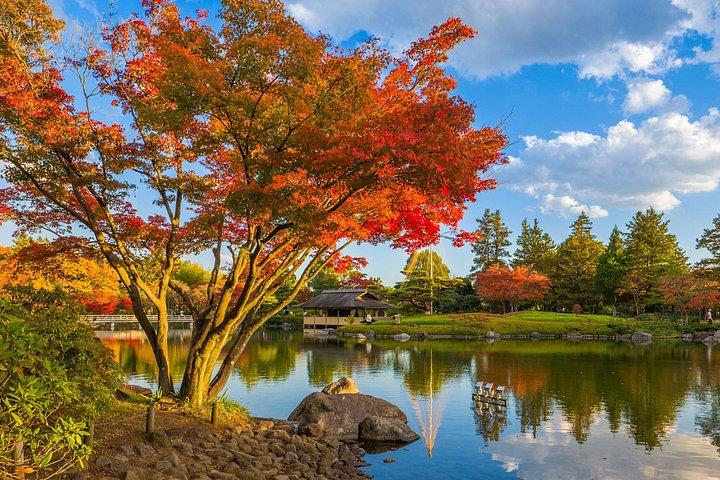 東京から行く高尾山と国営昭和記念公園紅葉日帰りツアー