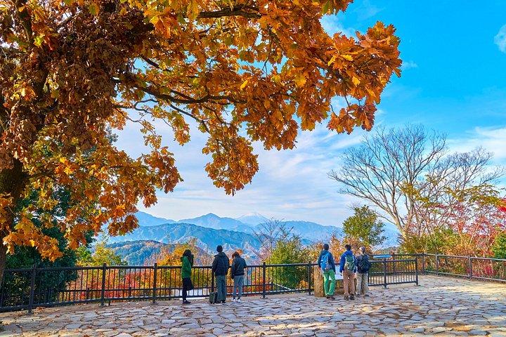 東京から行く高尾山と国営昭和記念公園紅葉日帰りツアー